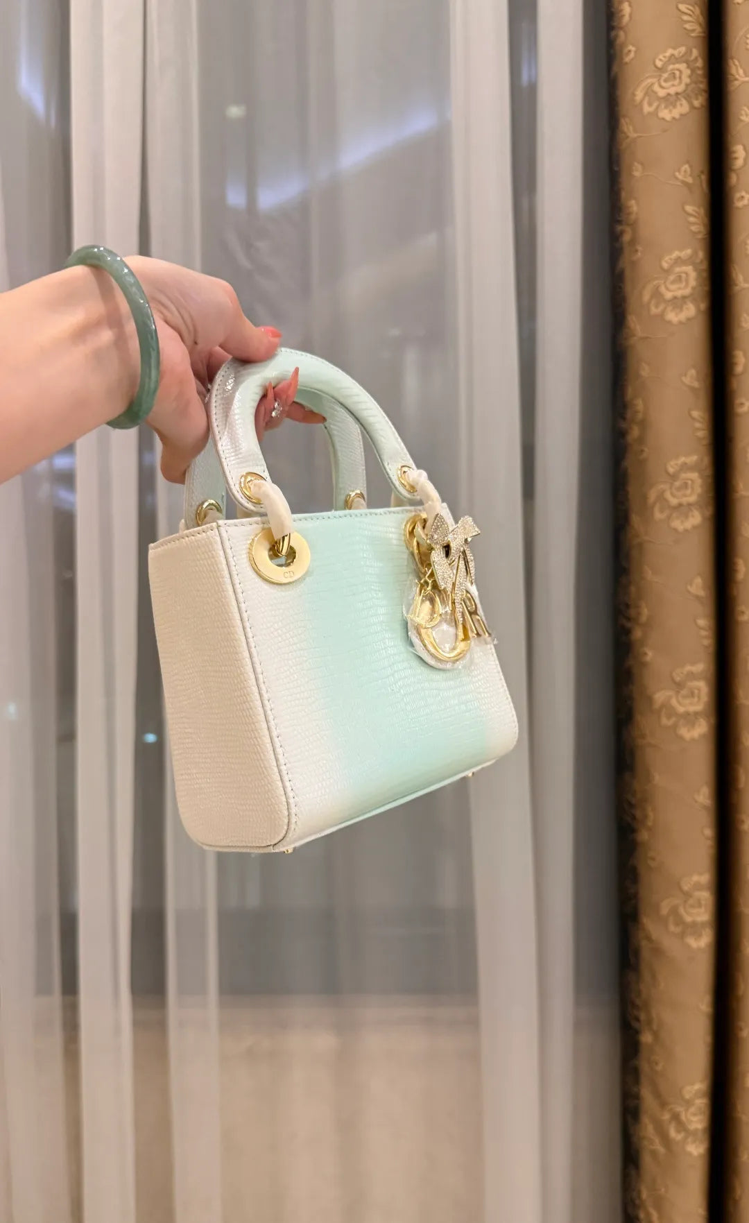 Lady Dior Lizard Skin Handbag 721168
