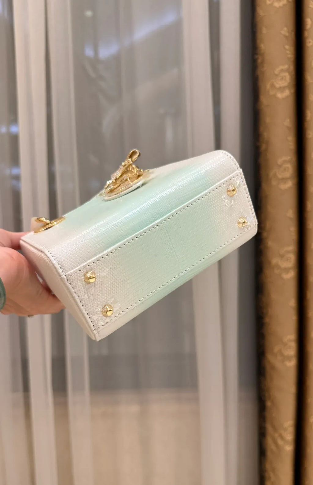 Lady Dior Lizard Skin Handbag 721168