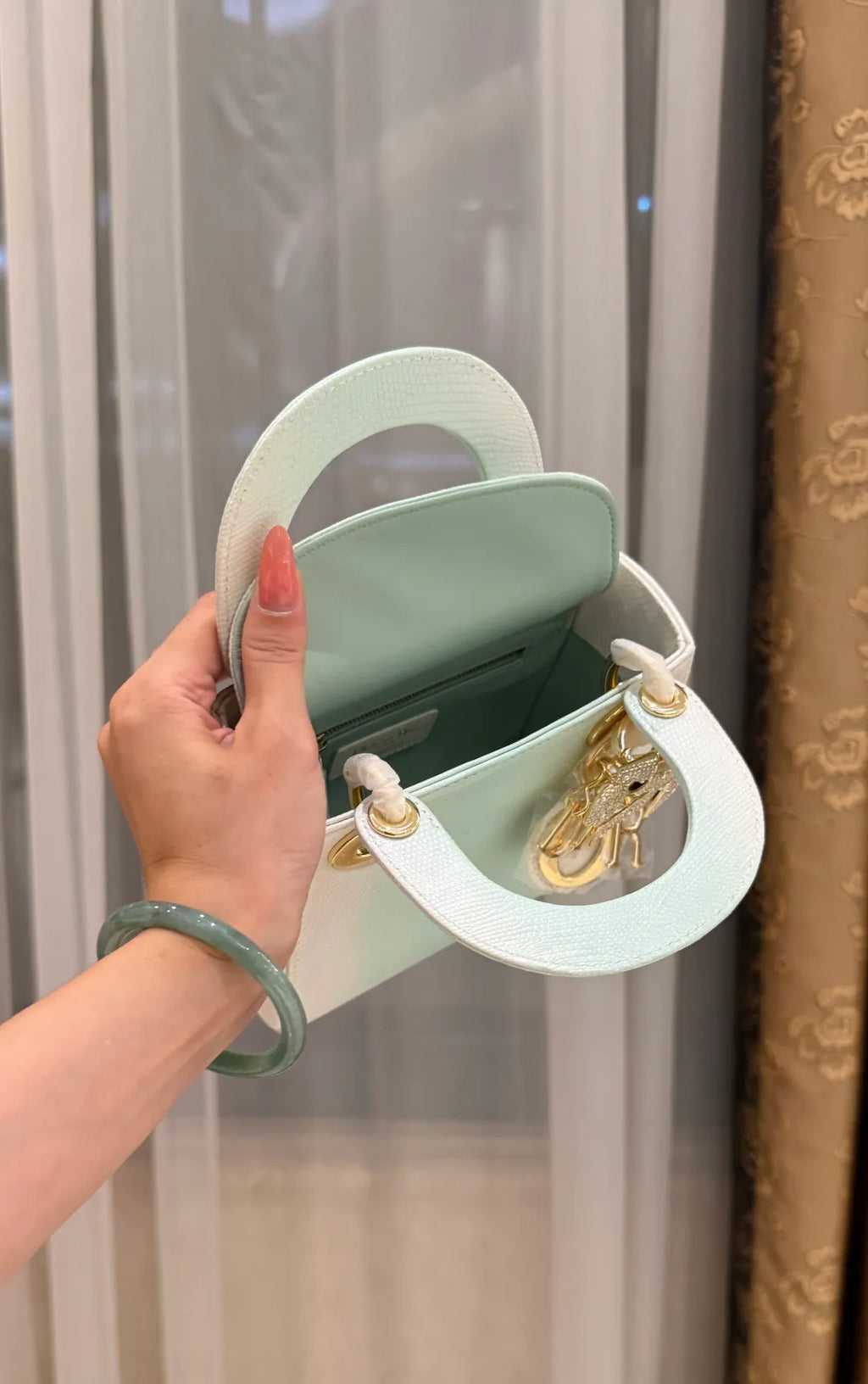 Lady Dior Lizard Skin Handbag 721168