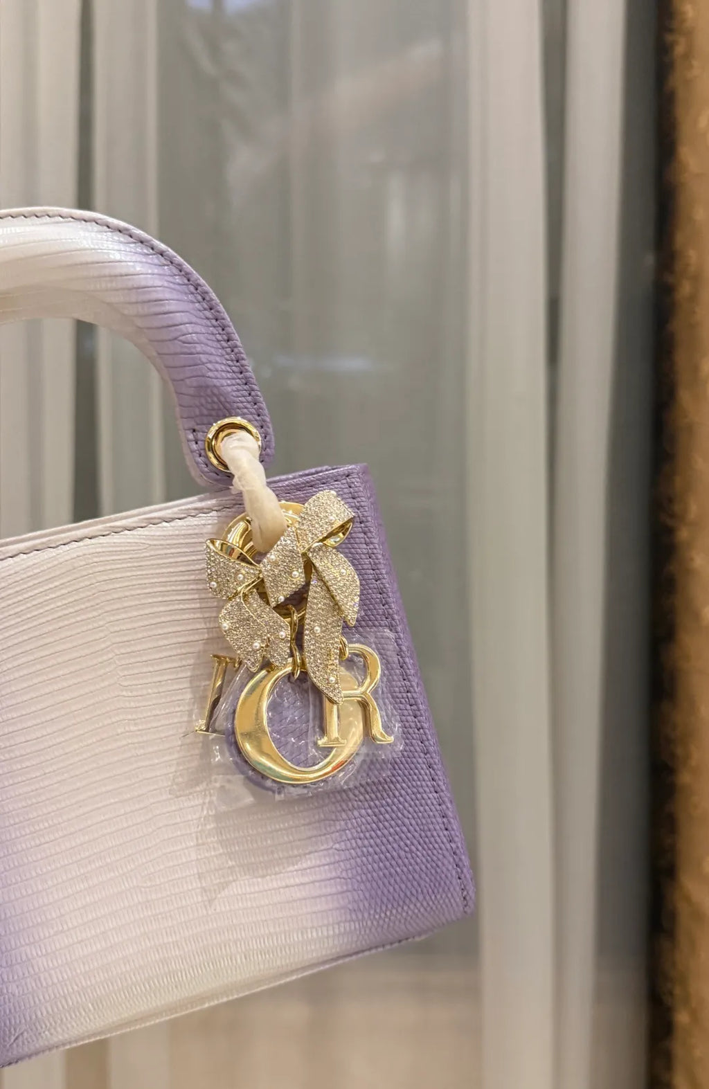 Lady Dior Lizard Skin Handbag 721172