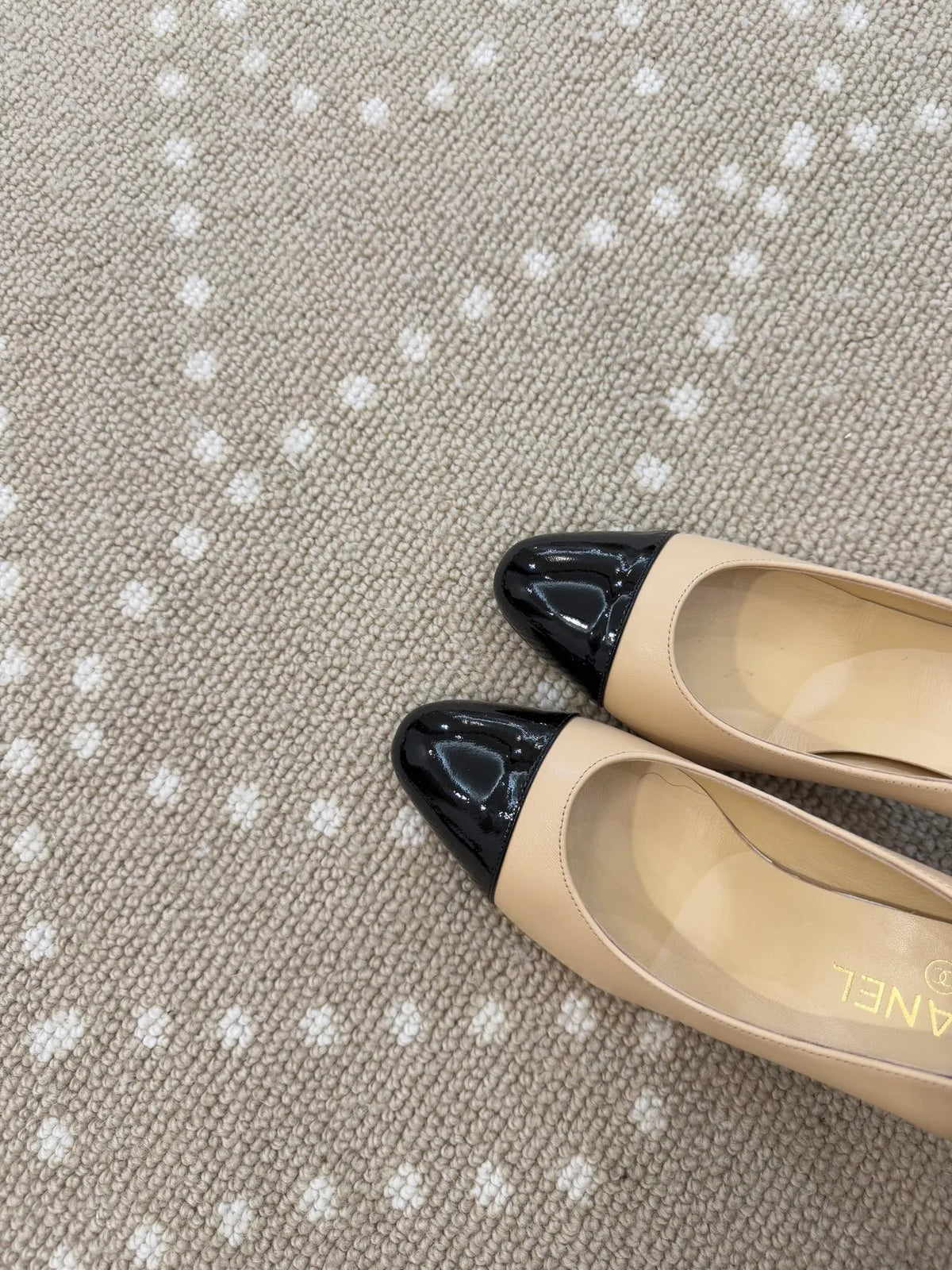 Lambskin Apple Accent 3.1 in Heels 246507