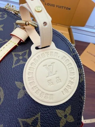 Louis Vuitton Diamond Pattern Leather Bag M28953