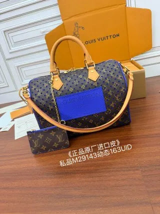 Louis Vuitton Diamond Pattern Leather Bag M29143