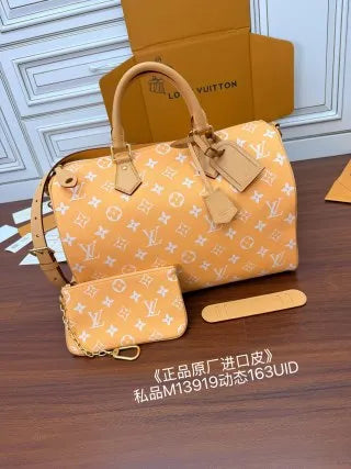 Louis Vuitton Leather Bag M13919