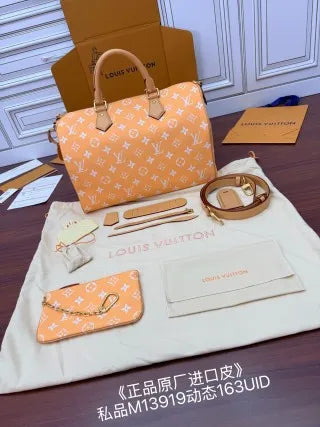 Louis Vuitton Leather Bag M13919