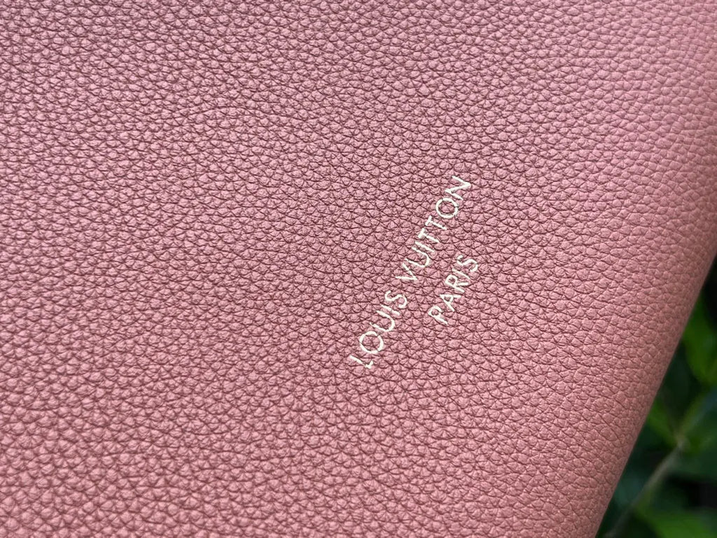 Louis Vuitton Low Key Hobo Small Leather Handbag M25354