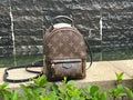 Louis Vuitton Palm Springs Mini Coated Canvas Backpack M44873