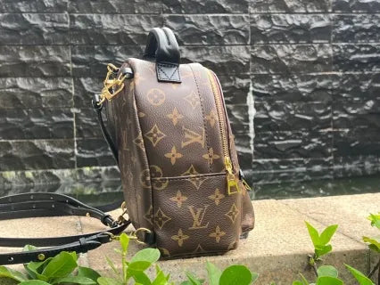 Louis Vuitton Palm Springs Mini Coated Canvas Backpack M44873