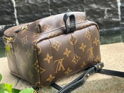 Louis Vuitton Palm Springs Mini Coated Canvas Backpack M44873