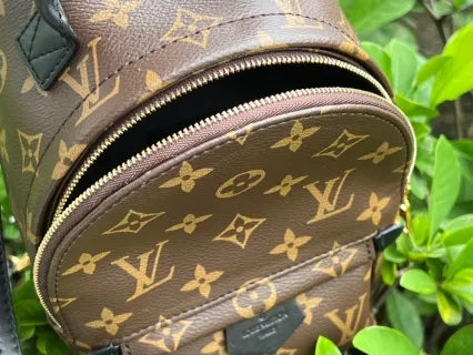 Louis Vuitton Palm Springs Mini Coated Canvas Backpack M44873