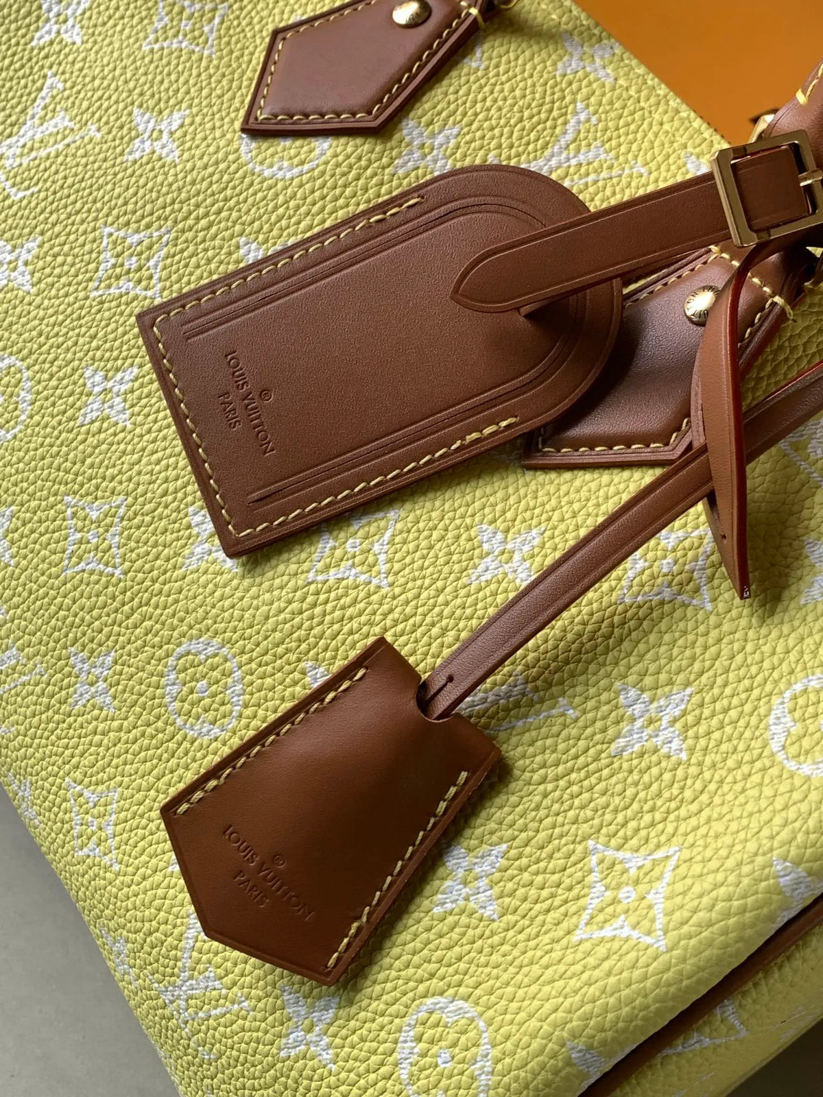 Speedy Bandoulière 30 Monogram Leather Handbag