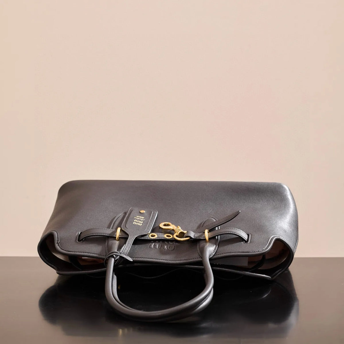 Miu Miu Sheepskin Leather 17.3 in Handbag 5BG310M1580