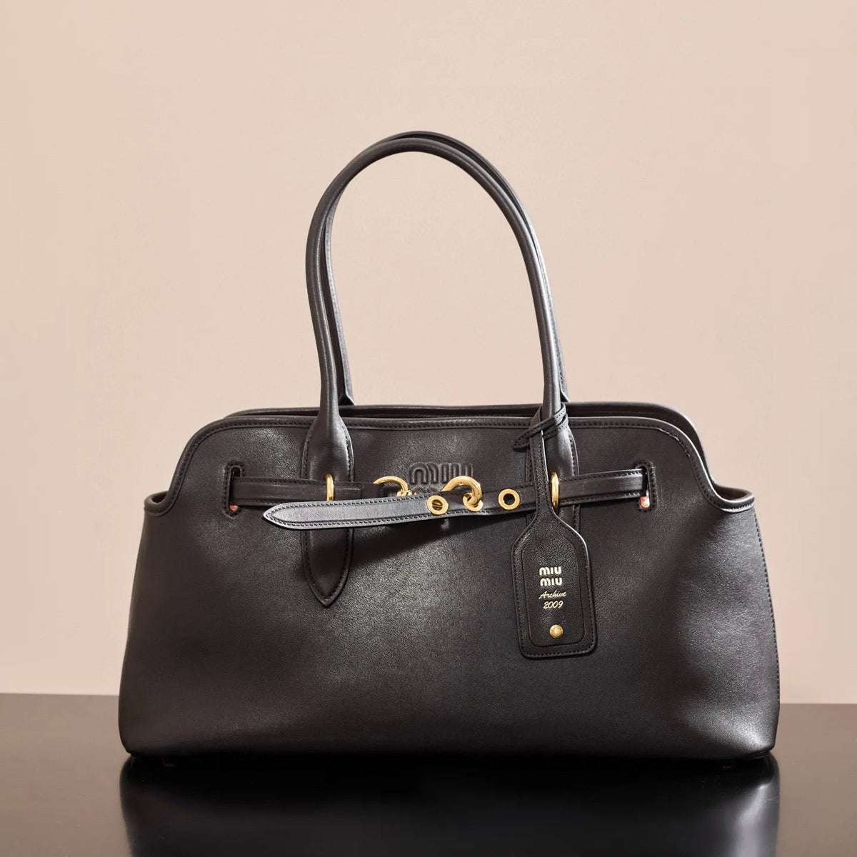 Miu Miu Sheepskin Leather 17.3 in Handbag 5BG310M1580